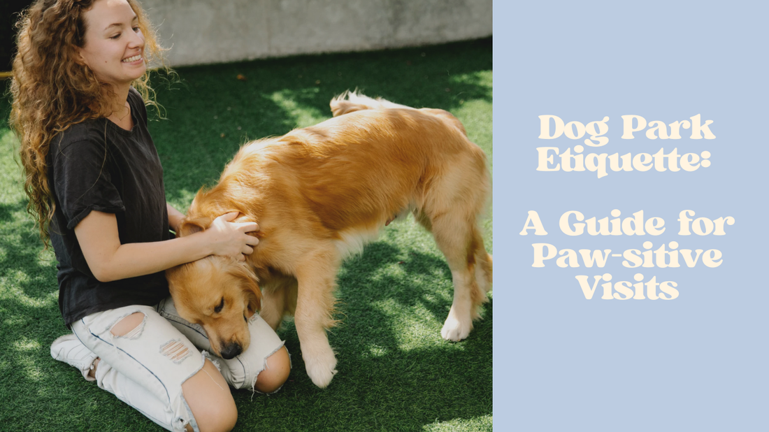 Dog Park Etiquette: A Guide for Paw-sitive Visits
