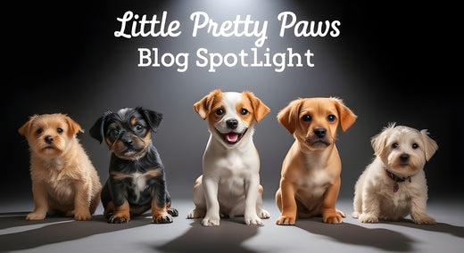 little pretty paws blog spotlight