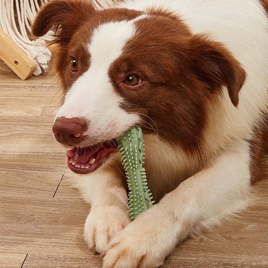 Captivating Doggy Chew Toy - Little Pretty Paws